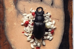 le-scarabee-2016-michel-lablais
